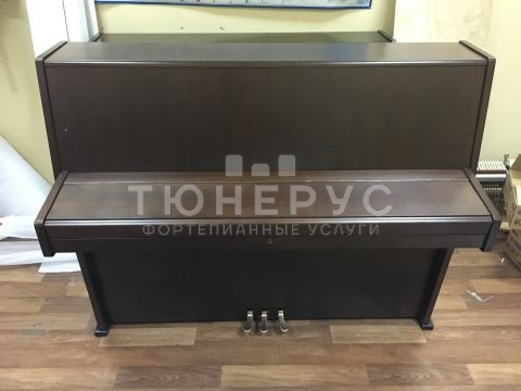 Пианино Ronisch 196087