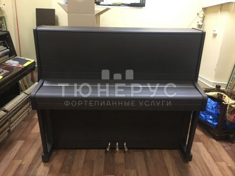 Пианино Petrof 374824