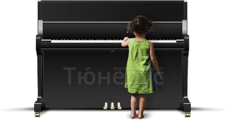 Плановая настройка пианино в Москве и Московской области