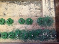 Все что осталось от друкшайб