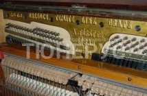 August Forster с номером 4490, 1882 год