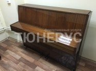 Пианино Ronisch Super 110 #3