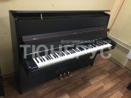Пианино Petrof Sonatina Black Matt 105 #7