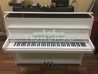 Пианино Rosler Rigoletto 108 #6