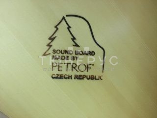 Пианино Petrof P118P1 118 #1