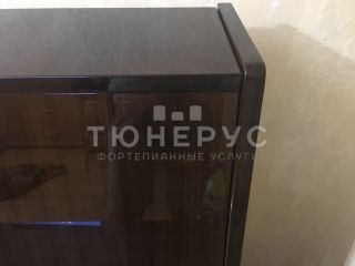 Пианино Petrof P116 116 #6