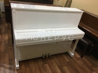 Пианино Rieger Kloss 123 Exclusive 123 #1