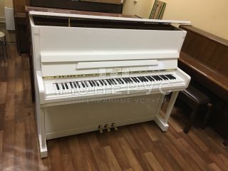 Пианино Rieger Kloss 123 Exclusive 123 #2