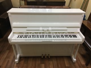 Пианино Rieger Kloss 123 Exclusive 123 #4