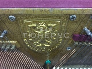 Пианино Rieger Kloss 123 Exclusive 123 #6