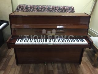 Пианино Bluthner  110 #2