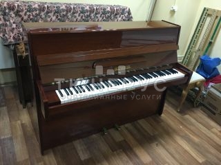 Пианино Bluthner  110 #5