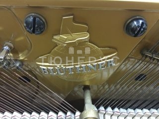 Пианино Bluthner  110 #7