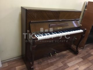 Пианино Petrof Poloschip 116 #3