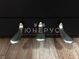 Пианино Petrof Sonatina 105 #5