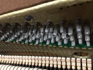 Пианино Scholze Novella 115 #6