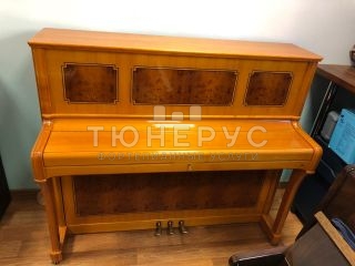 Пианино Seiler Vienna 122 #1