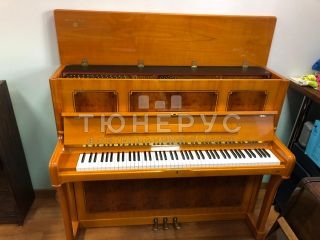 Пианино Seiler Vienna 122 #6