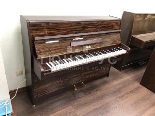 Пианино Rosler Rigoletto 110 #5