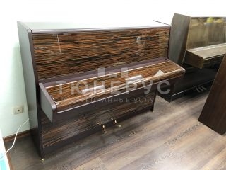 Пианино Rosler Rigoletto 110 #6