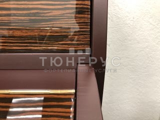 Пианино Rosler Rigoletto 110 #8