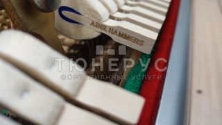 Пианино Petrof Concertino 125 #6