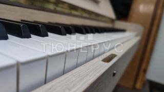 Пианино Petrof Concertino 125 #8