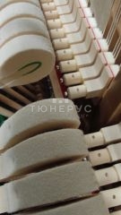 Пианино W. Hoffmann Vision 120 120 #1