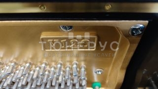 Пианино W. Hoffmann Vision 120 120 #4