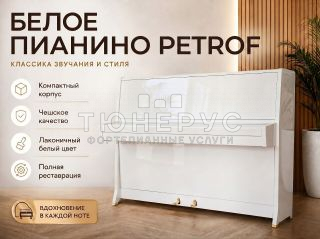 Пианино Petrof Classic 113 #1